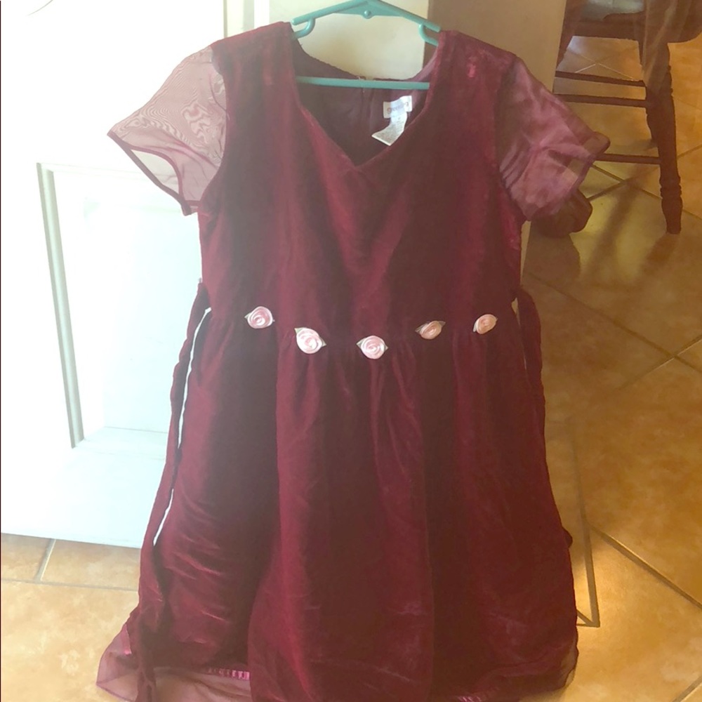 Girl’s formal party dress